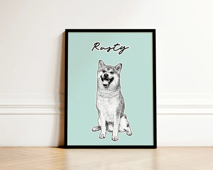 Black & White Pet Portrait