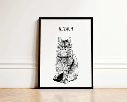 Black & White Pet Portrait